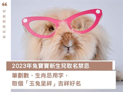 2023兔寶寶|2023兔寶寶取名吉祥＆禁忌用字｜有這個字一生不愁 